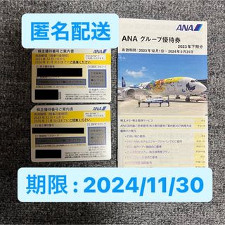 エーエヌエー(ゼンニッポンクウユ)(ANA(全日本空輸))のANA株主優待2枚【期限】2024年11月30日(その他)