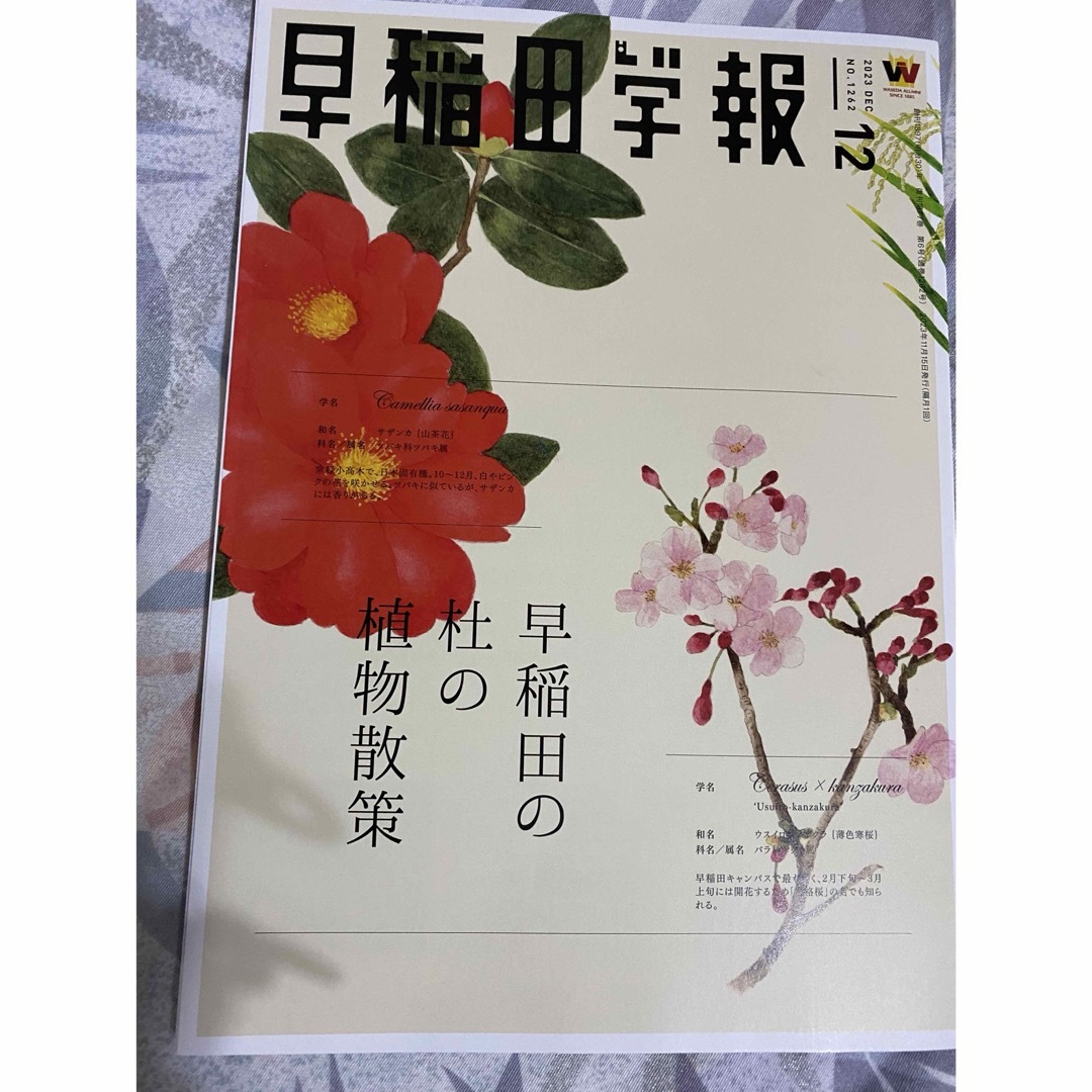 早稲田学報2023年12月号１冊 エンタメ/ホビーの雑誌(専門誌)の商品写真