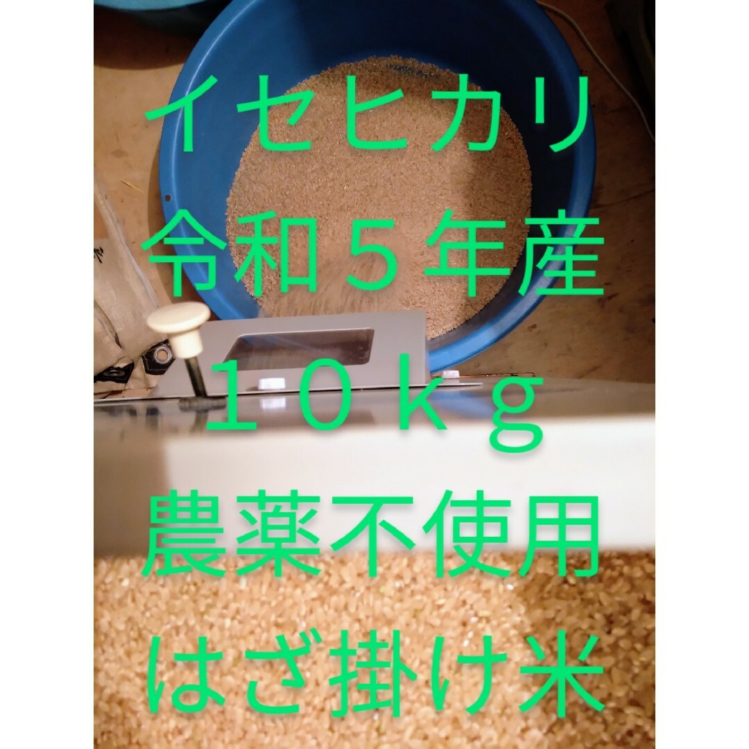 イセヒカリ　玄米　１０ｋｇ　令和５年産　農薬不使用　はざ掛け米　籾摺り後発送米/穀物