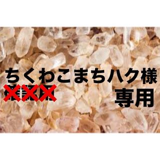 ちくわこまちハク様専用ページ(ネックレス)