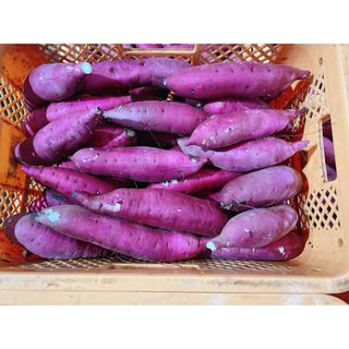 おにぎり君専用　茨城県産サツマイモ紅はるか6kg(野菜)