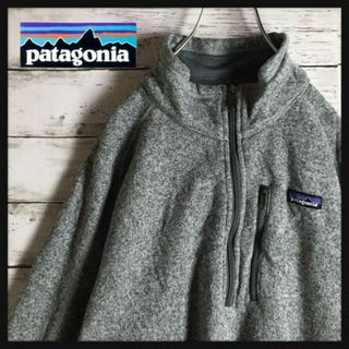 パタゴニア(patagonia)の【ビッグサイズ】パタゴニア☆ロゴ入りハーフジップトップス　人気定番　730(ブルゾン)