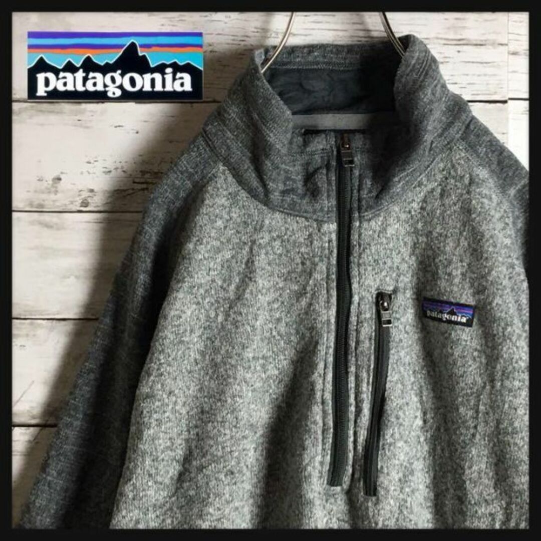 patagonia(パタゴニア)の【ビッグサイズ】パタゴニア☆ロゴ入りハーフジップフリース　薄手　グレー　756 メンズのジャケット/アウター(ブルゾン)の商品写真