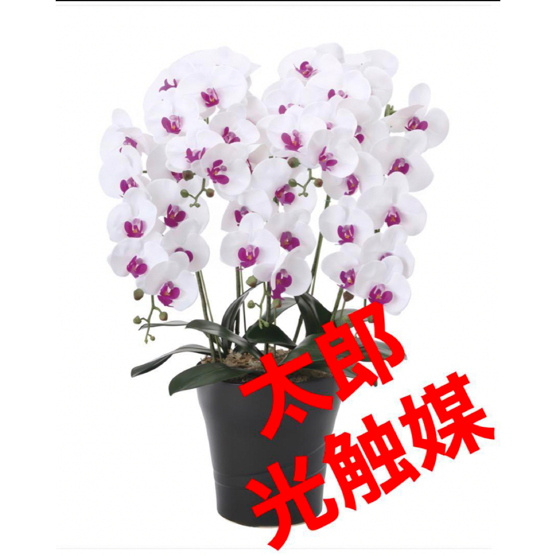 光触媒 人工観葉植物 フェイクグリーン フレッシュ胡蝶蘭W/L5本 光触媒 人工観葉植物 フェイクグリーン フレッシュ胡蝶蘭W/L5本