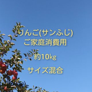 りんご(サンふじ)訳ありご家庭消費用 約10kg(フルーツ)