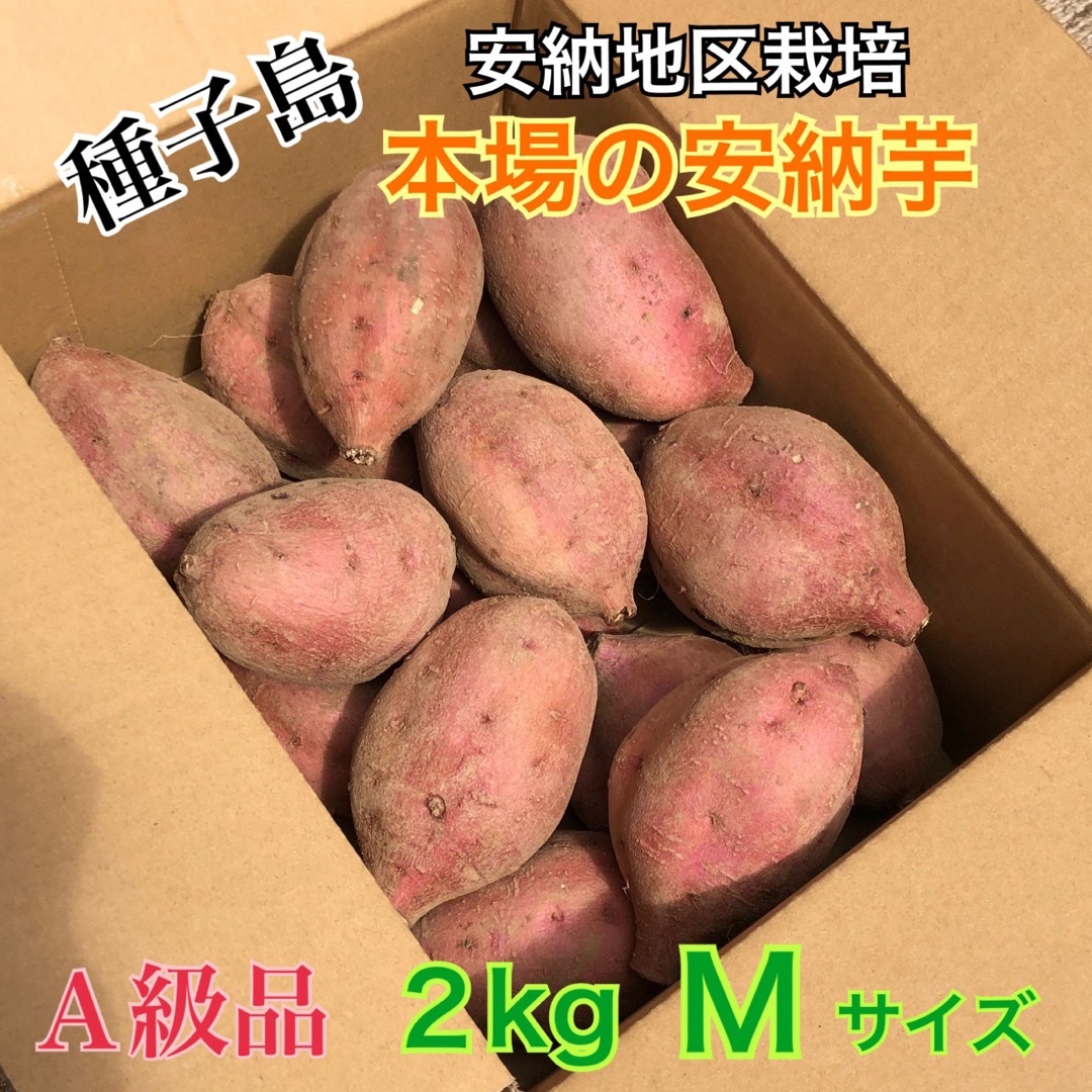 種子島 農家直送！安納地区の安納芋 M 10㎏ A級品 - 野菜