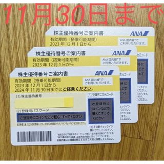 エーエヌエー(ゼンニッポンクウユ)(ANA(全日本空輸))の最新ANA 株主優待券3枚+グループ優待券冊子(航空券)