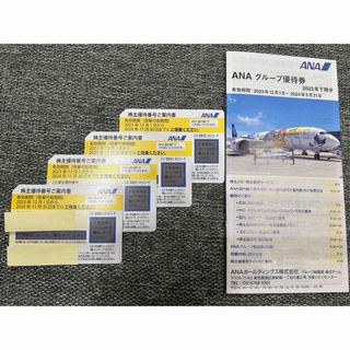 エーエヌエー(ゼンニッポンクウユ)(ANA(全日本空輸))のANA(全日空)株主優待券(航空券)
