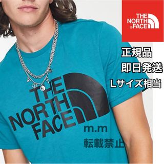 ザノースフェイス(THE NORTH FACE)の送料無料 ノースフェイス メンズ レディース 半袖 Tシャツ ハーフドーム L(Tシャツ/カットソー(半袖/袖なし))