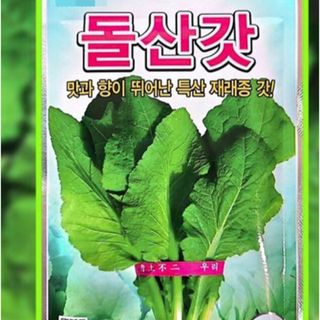 韓国野菜　韓国芥子菜　種子　50粒(野菜)