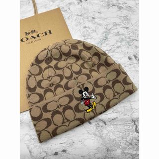 期間限定品 COACH コーチ ドクロ ペガサス スカル ショルダー バッグ内部は綺麗だと思います