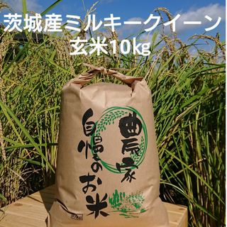 茨城令和5年産ミルキークイーン玄米10kg(米/穀物)