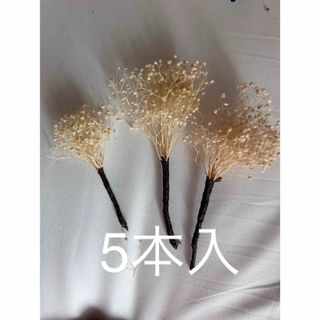 ハンドメイド 髪飾り ドライフラワー かすみ草 5本入(ヘアアクセサリー)