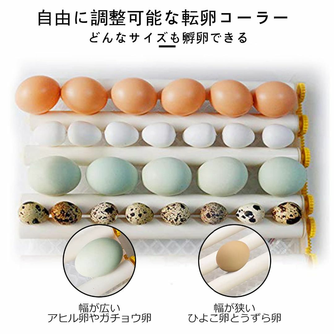 HKDQ 自動孵卵器 インキュベーター 自動転卵式 自動温度制御 HKDQ 自動孵卵器 インキュベーター 自動転卵式 自動温度制御