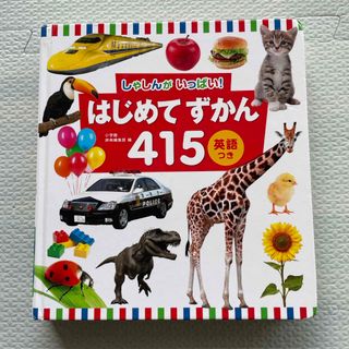 ショウガクカン(小学館)の★最終お値下げ★小学館　しゃしんがいっぱい！はじめてずかん415(絵本/児童書)