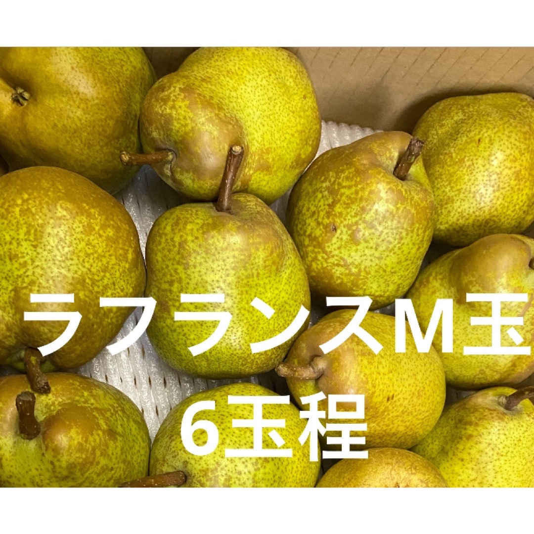 減農薬栽培山形県東根市産　洋梨好きさん集まれ♪三種コラボ4.5キロ前後 食品/飲料/酒の食品(フルーツ)の商品写真