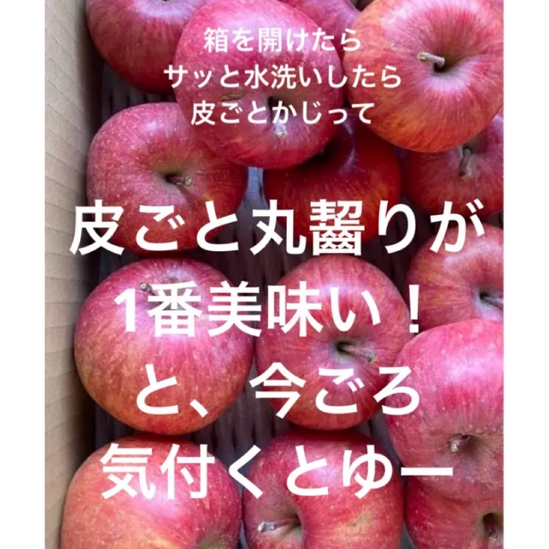 減農薬栽培山形県東根市産ふじ&ラフランス３キロ贈答パック詰め中玉12玉入り 食品/飲料/酒の食品(フルーツ)の商品写真