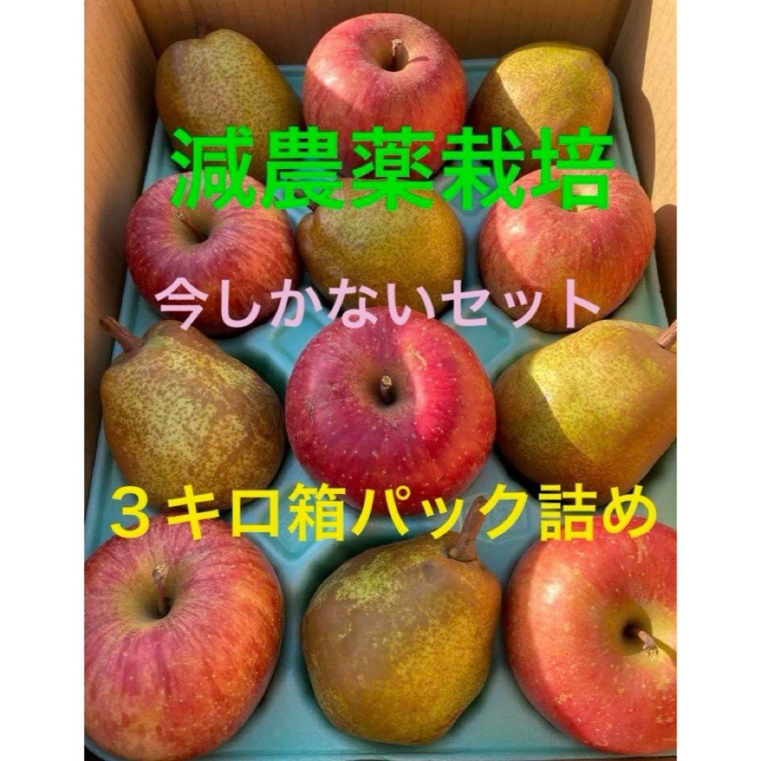 減農薬栽培山形県東根市産ふじ&ラフランス３キロ贈答パック詰め中玉12玉入り 食品/飲料/酒の食品(フルーツ)の商品写真