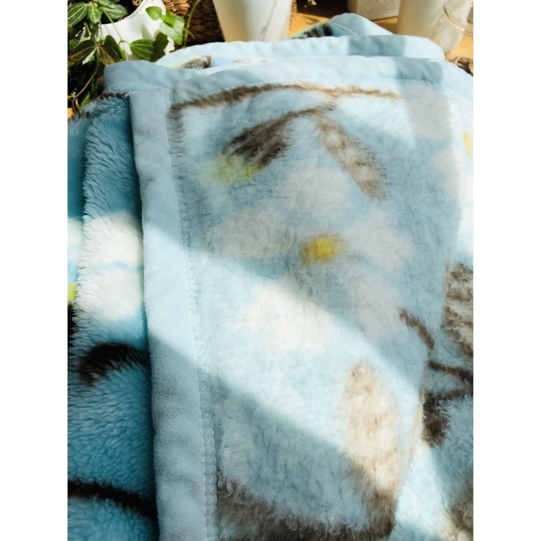 西川(ニシカワ)のブルーマーガレット　ボアシングルブランケット インテリア/住まい/日用品の寝具(毛布)の商品写真