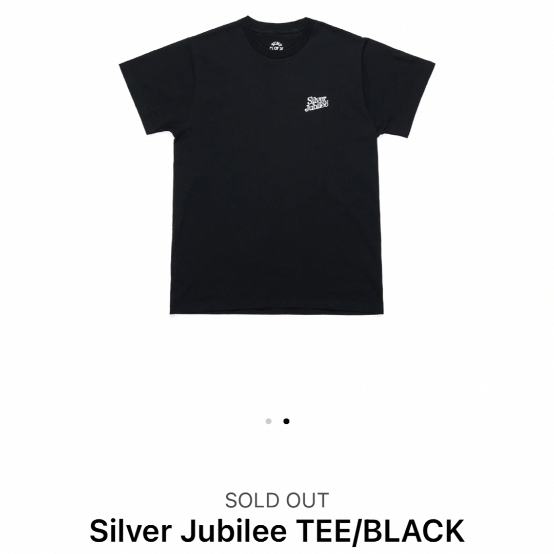 BUMP OF CHICKEN(バンプオブチキン)のバンプ オブ チキン Silver Jubilee TEE BLACK エンタメ/ホビーのタレントグッズ(ミュージシャン)の商品写真