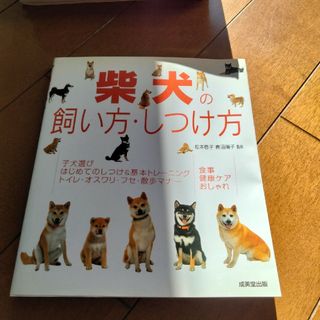 柴犬の飼い方・しつけ方(住まい/暮らし/子育て)