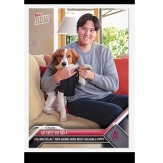 【カードローダー付き】【完売品】大谷翔平選手と愛犬の2ショットMVPカード (シングルカード)