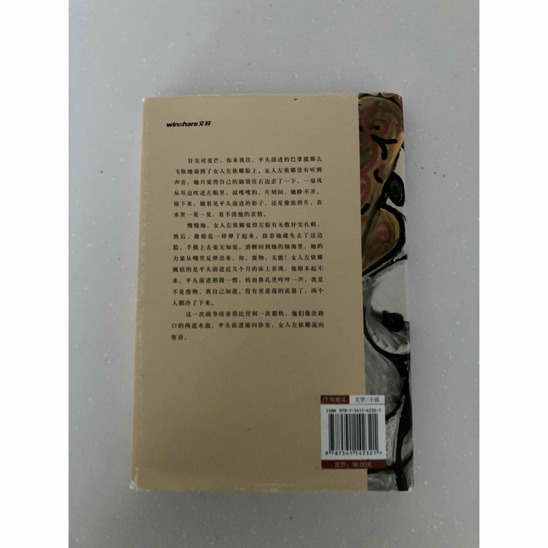 新品　中国語書籍(小説) エンタメ/ホビーの本(文学/小説)の商品写真