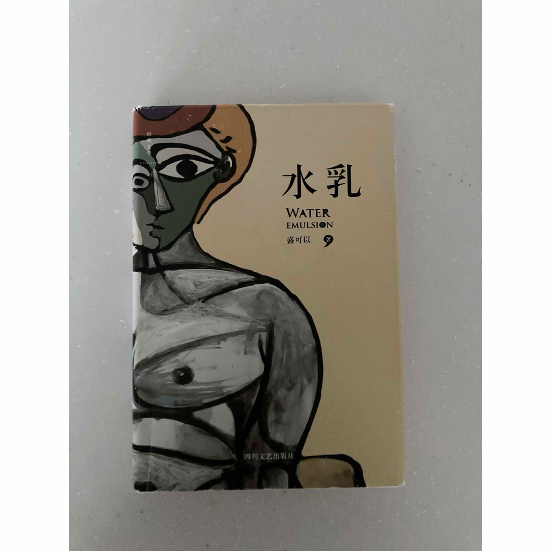 新品　中国語書籍(小説) エンタメ/ホビーの本(文学/小説)の商品写真