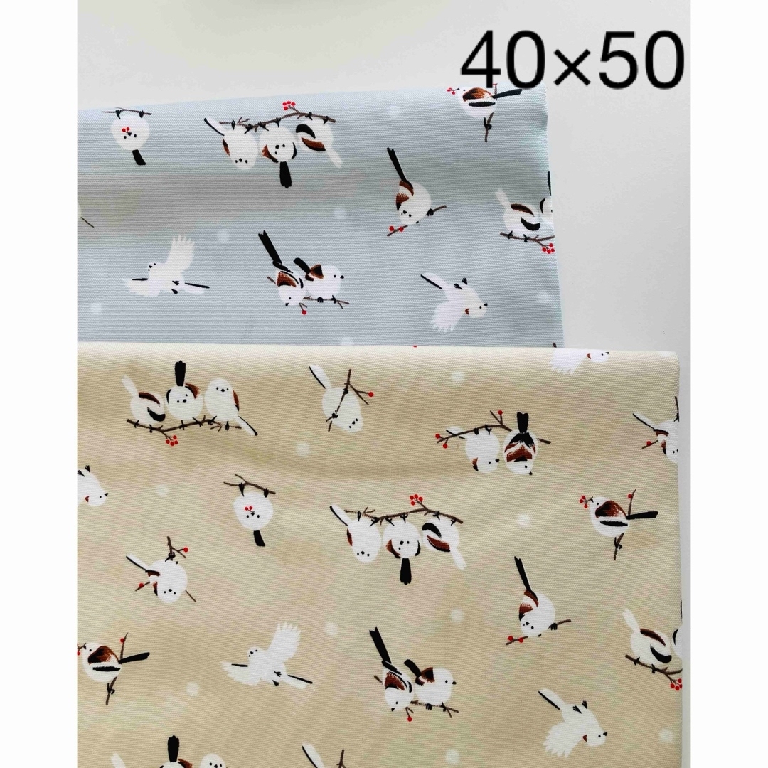 【2枚】小学校ランチョンマット40×50 小鳥（すずめシマエナガ） ハンドメイドのキッズ/ベビー(外出用品)の商品写真
