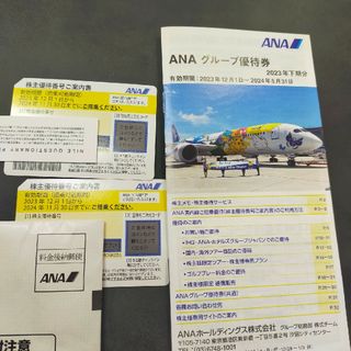 エーエヌエー(ゼンニッポンクウユ)(ANA(全日本空輸))のANA株主優待券(航空券)