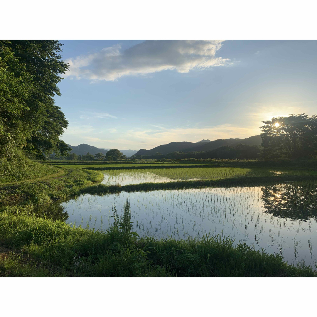 ☆新米☆最高級米☆農家直送☆令和5年度☆福島県南会津産ひとめぼれ