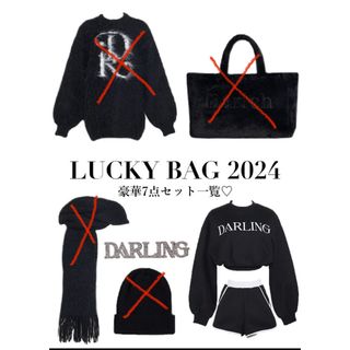 ダーリッチ(Darich)のダーリッチ ハッピーバッグ2024(Tシャツ(長袖/七分))