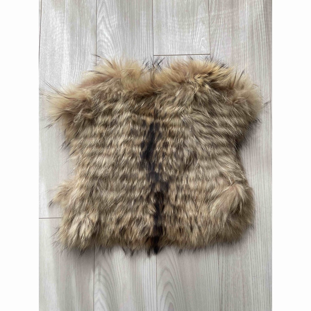 LE CIEL BLEU(ルシェルブルー)のアンシャントマン 毛皮 ラクーンファー リアルファー ベスト コート レディースのジャケット/アウター(毛皮/ファーコート)の商品写真