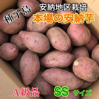 種子島　農家直送！安納地区の安納芋　SS ２キロ　A級品(野菜)