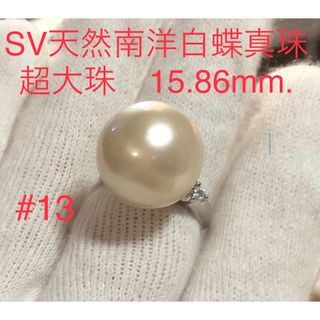 SV天然南洋白蝶真珠　超大珠リング　15.86mm. #13(リング(指輪))