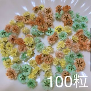 オレンジ×ミントグリーン系 かすみ草ドライフラワー100粒(ドライフラワー)