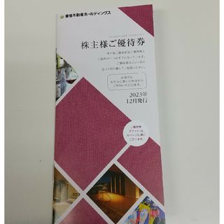 東急不動産ホールディングス 株主優待券100株タイプ(その他)