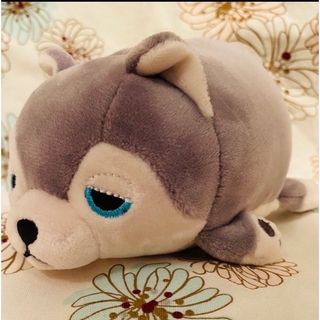 リブハアト(LIVHEART)のぬいぐるみ　犬　ねむねむアニマルズ　りぶはあと　ハスキー犬(ぬいぐるみ)