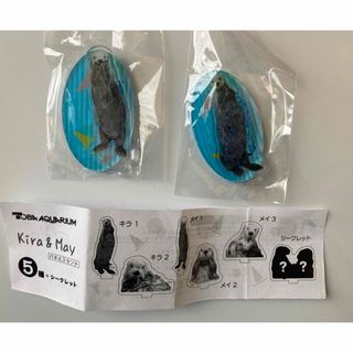 鳥羽水族館 ラッコ キラメイ アクスタ(その他)