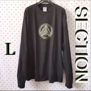 バートン(BURTON)のSECTION セクションスノーボード US限定非売品ロングスリーブTシャツＬ(アクセサリー)