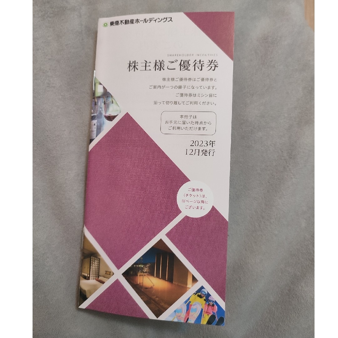 東急不動産ホールディングス株主優待券100株 チケットの優待券/割引券(宿泊券)の商品写真