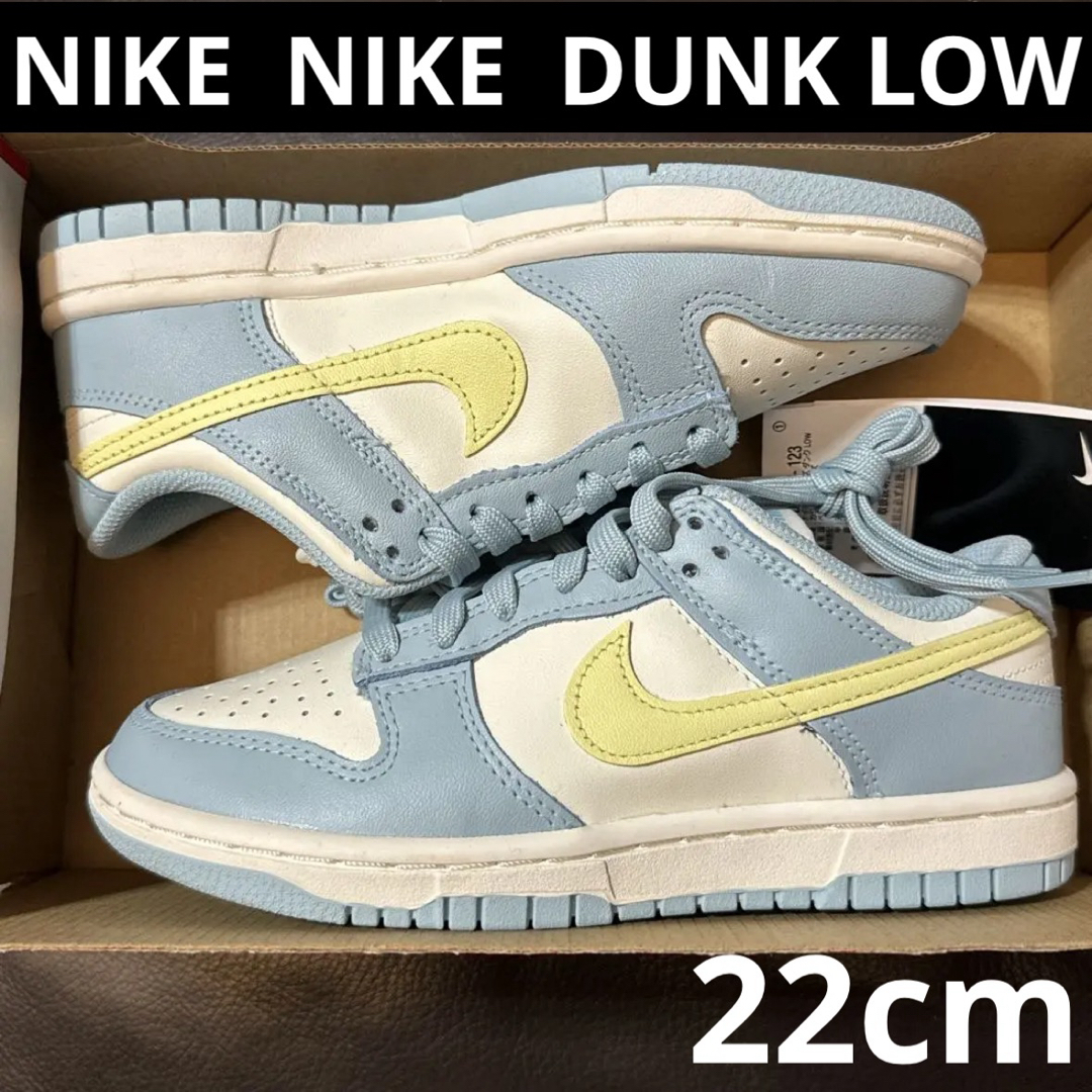 NIKE  DUNK LOW  22cm  新品　匿名配送靴/シューズ