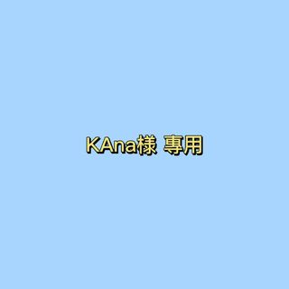 KAna様 專用(その他)