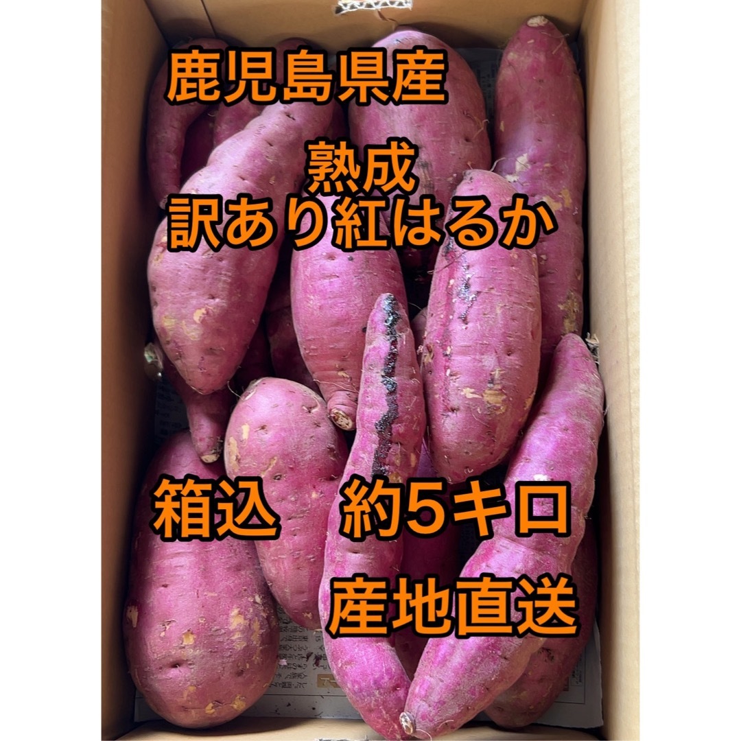 鹿児島県産　熟成訳あり紅はるか　箱込5キロ 食品/飲料/酒の食品(野菜)の商品写真