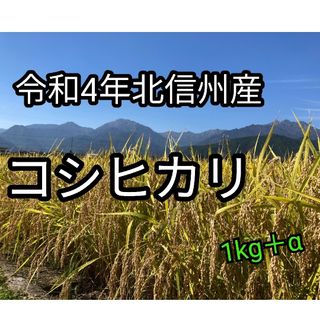 令和4年長野産コシヒカリ1kg　＋おまけ120g(米/穀物)