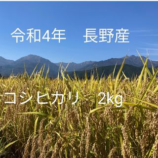 令和4年長野産コシヒカリ　ゆうパケットポスト箱込みで2kg(米/穀物)