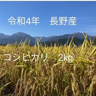 令和4年長野産コシヒカリ　ゆうパケットポスト箱込みで2kg(米/穀物)