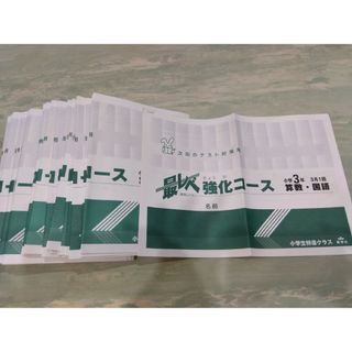 しょうがく社　最レベ強化コース　小3　算国　1年分(語学/参考書)