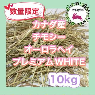 カナダ産チモシーオーロラヘイプレミアムWHITE  10kg   圧縮　無選別(ペットフード)