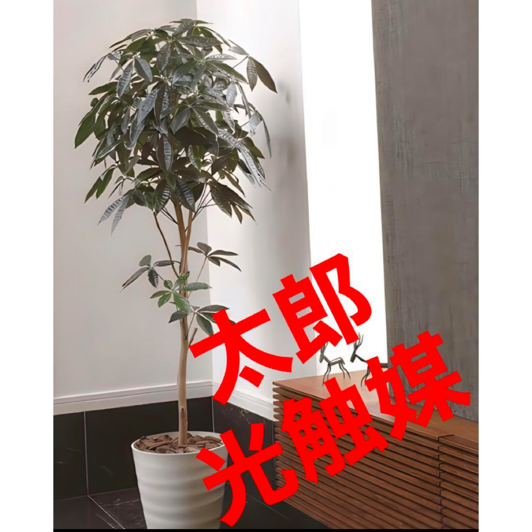 光触媒　人工観葉植物　ウォールグリーン　フェイクグリーン　パキラ1.6リビング